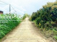 Em Chính Chủ Bán Miếng Đất Thổ Cư Đạ Tẻh - Lâm Đồng Chỉ 450 Triệu Thương Lượng, Sẵn Sổ