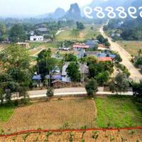 Đất hiếm tại Dẻ Cau, Thanh Sơn, Hoà Bình, về Hà Nội 40km