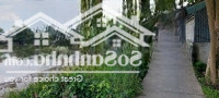 Đất Nền Thổ Cư 99,3 M2 Ngay Mặt Tiền Bờ Kè Đang Làm Ngay Thị Xã Bình Minh 1 Tỷ 250