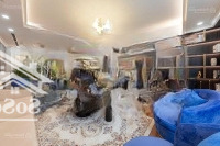 (Giá Chuẩn) Bán Nhanh Căn Hộ Vinhomes West Point Toà W2 69M2 2 Phòng Ngủrẻ Nhất Hiện Nay Sổ Lâu Dài 6,5 Tỷ