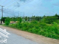 Bán 2 Sào 2010M2 Sổ Riêng Ngay Thị Xã, Đường 18M, Gần Chợ Giá 130 Triệu