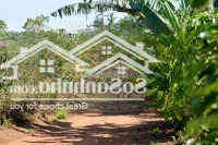 Bán Đất, Nhà Tại Xã Ea Tóh, Krông Năng, Đắk Lắk