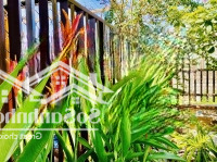 Cho Thuê Homestay Sân Vườn Cực Đẹp Đường Hoàng Quốc Việt