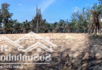 Cần Chuyển Nhượng Resort Mặt Tiền Đường Lạc Long Quân - Xã Tiến Thành - Tp Phan Thiết