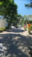 Bán Lô Đất Biển Trà Lộ - Tân Trà Vị Trí Vàng Ngũ Hành Sơn
