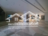 Khai Phá Tiềm Năng Kinh Doanh Vượt Trội Tại Brg Diamond Residence!