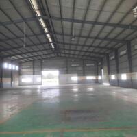 https://khoxuongmiennam.net/ Cho thuê Kho Xưởng 13.729m2 Thủ Thừa, Long An.