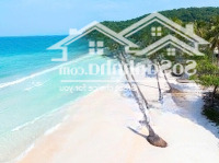 Bán Đất Đông Đảo, 4,5 Tỷ, 502M2, Phú Quốc, Kiên Giang, Đẹp, Nhiều Tiện Ích!