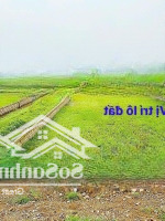Đất Mặt Đường Nhựa Liên Xã Rộng 14 Mét Có Đèn Cao Áp Giá Tốt Nhất Khu