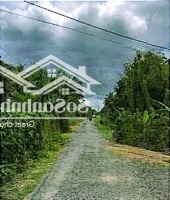Bán Đấu Giá Thửa 513 Xã Mỹ Cầm, Huyện Càng Long, Tỉnh Trà Vinh - Giá Thỏa Thuận - 5292,3M2