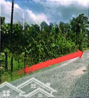 Bán Đấu Giá Thửa 513 Xã Mỹ Cầm, Huyện Càng Long, Tỉnh Trà Vinh - Giá Thỏa Thuận - 5292,3M2