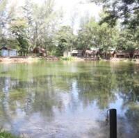 Cần bán khu du lịch sinh thái Hàm Liêm- Hàm Thuận Bắc- Bình Thuận Khu du lịch sinh thái nổi tiếng ở Phan Thiết