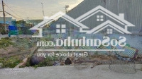 Bán Đất Full Thổ Cư Đẹp Đoàn Nguyễn Tuấn, Xã Hưng Long, Bình Chánh Giá Bán 435 Triệu. Shr Diện Tích 104M2