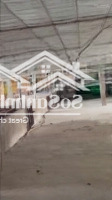 Cực Hot, Chính Chủ Cần Bán Lô Đất Trang Trại, Hàng F0, Đất Trồng Cây Lâu Năm 29200M2, Chỉ 10 Tỷ
