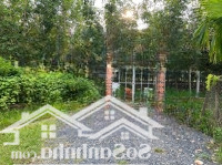 Bán Đất Tại Xã An Bình, Châu Thành, Tây Ninh, Giá Ưu Đãi 330 Triệu, 90M2
