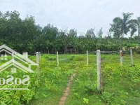 Bán Đất Tại Xã An Bình, Châu Thành, Tây Ninh, Giá Ưu Đãi 330 Triệu, 90M2