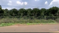 B.án Gần 1Ha Vườn Trái Cây . Mặt Tiền Đường Nhựa 10M.thống Nhất, Đồng Nai .
Diện Tích (78 X 134.