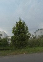 Kẹt Tiền Bán Lô Đất Mtđ Nguyễn Thị Sáu,P.phú Thứ,Cái Răng,Cần Thơ.diện Tích120M2, 1.1Tỷ, Shr 100% Thổ Cư