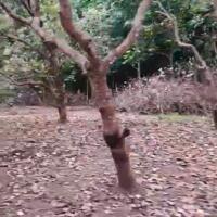 CHÍNH CHỦ CẦN BÁN LÔ ĐẤT RẤY VỊ TRÍ ĐẸP NGAY XÃ ĐA KAI, ĐỨC LINH, BÌNH THUẬN