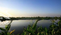Bán Biệt Thự Sân Golf Vân Trì 1188M2 - Đông Anh Khu Vực Đang Được Các Chủ Đầu Tư Rót Hàng Tỷ Đô