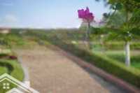 Cần Cho Thuê Nhà Thô Làm Kho Hàng, Cải Tạo Làm Văn Phòng Khu Đtm An Hưng Dương Nội, Hà Đông