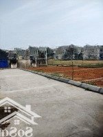 295 Triệu Sở Hữu Ngay Lô Đất Đẹp, Ô Tô Đỗ Cửa. Tại Thủy Nguyên