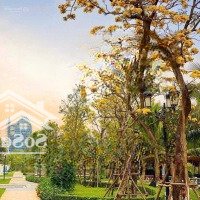 Siêu Phẩm Liền Kề Vtđ1-185 Căn Giá Tốt Nhất Hiện Tại! Cơ Hội Sở Hữu Căn Nhà Vị Trí Vàng Giá Tốt