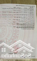 Cơ Hội Vàng Sở Hữu Lô Đất Đấu Giá Đẹp Nhất Thụy Lâm, Hà Nội Giá Chỉ 7X Tr/M2