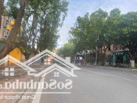Bán Biệt Thự Bt8 Mặt Phố Bùi Thiện Ngộ, 228M2 Vị Trí Vip Nhất Khu Đô Thị Việt Hưng