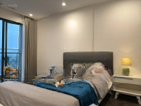 Mình Chính Chủ Cần Cho Thuê Gấp Chung Cư 1 Ngủ Ở Vin Home Sky Park, Khách Có Thể Thuê Ngắn Hạn