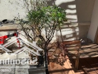 Bán Nr Đẹp Xuất Sắc 14,7 Tỷ, 80M2 Tại Lê Văn Miến, Thảo Điền, Q2, Hcm