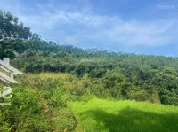 Bán Trang Trại Khu Nghỉ Dưỡng Tại Phú Cường, 7Xx Triệu Vnd (X Bé Xíu), 2287 M2, Giá Ưu Đãi Hot!