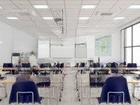 Biệt Thự Kđt Dịch Vọng, Cầu Giấy, 330M2,Mặt Tiền15M, Thang Máy, Hầm Để Ô Tô, Kinh Doanh, 89 Tỷ