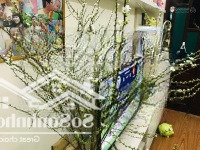 Bán Nhà Hoà Bình 3, Hai Bà Trưng, 4Tầng 23M2, Gần Phố Minh Khai, Nhà Mới Đẹp Full Nội Thất, Ở Ngay