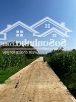 Kẹt Tiền Bán Gấp 4,6 Sào Đất Xã Lộ 25 Phù Hợp Nghỉ Dưỡng Hoặc Làm Kho Xưởng