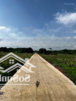 Kẹt Tiền Bán Gấp 4,6 Sào Đất Xã Lộ 25 Phù Hợp Nghỉ Dưỡng Hoặc Làm Kho Xưởng