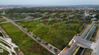 Mở Bán Dự Án Majestic City Phố Nối Hưng Yên Đã Có Sổ Đỏ - Ngân Hàng Hỗ Trợ 70%