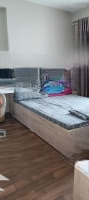 Bán Chdv Q7 Tân Hưng Xẵng Dòng Tiền 150 Triệu/ Tháng 235M2 Ngang Lớn 8,5M Chủ Gấp Bán Pccc Đầy Đủ
