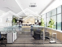 Ngộp Bank 20 Tỷ - Bán Tòa Nhà Ngay Hồ Văn Huê, Pn - 12 X 14M - 7 Tầng - Hđ: 170 Triệu - Giá Bán 40 Tỷ