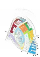 Bán 2 Lô Đất Liền Kề Khu Tdc Suối Lớn, Dương Tơ, Phú Quốc. Giá Chỉ 3,6 Tỷ 1 Lô