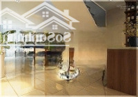 Nhỉnh 14 Tỷ Bán Chdv 10P Đường Hoàng Hoa Thám - Phan Đăng Lưudiện Tích4X20M 5 Tầng Mới Tn 40 Triệu/Tg