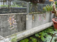Em Cần Tiền Phải Bán Lô Đất 153M Full Tc Tại Tiểu Khu 2 - Thị Trấn Lương Sơn