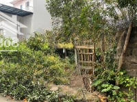 Em Cần Tiền Phải Bán Lô Đất 153M Full Tc Tại Tiểu Khu 2 - Thị Trấn Lương Sơn