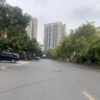 Bán biệt thự BT3 KĐT Việt Hưng, mặt phố Vạn Hạnh, 164m2 view thoáng tầm nhìn, phân khúc đẳng cấp
