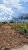 Đất Đối Diện Chợ Giữa, Đường Ấp Phú Hào, Phú Hưng, Bến Tre, 120M2 Có Thổ Cư Sẵn, 468 Triệu. Sổ Sẵn.