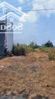 Đất Đối Diện Chợ Giữa, Đường Ấp Phú Hào, Phú Hưng, Bến Tre, 120M2 Có Thổ Cư Sẵn, 468 Triệu. Sổ Sẵn.