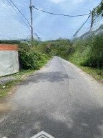 Đất Đối Diện Chợ Giữa, Đường Ấp Phú Hào, Phú Hưng, Bến Tre, 120M2 Có Thổ Cư Sẵn, 468 Triệu. Sổ Sẵn.