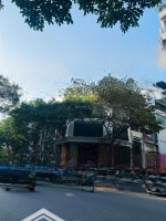 Mặt Phố Tuệ Tĩnh 205M2Mặt Tiền8.5M Gpxd 8 Nổi 1 Hầm 175 Tỷ