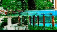 Nội Thất Đẹp Trên 1,5 Tỷ - Bán Ch 3 Phòng Ngủ, 135M2 - View Hồ Bơi Tại The Vista An Phú - 9.8 Tỷ