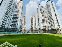 Cc View Đẹp Xuất Sắc Cho Thuê Tại Sunrise Riverside, 8 Triệu, 50M2 Thích Hợp Làm Văn Phòng